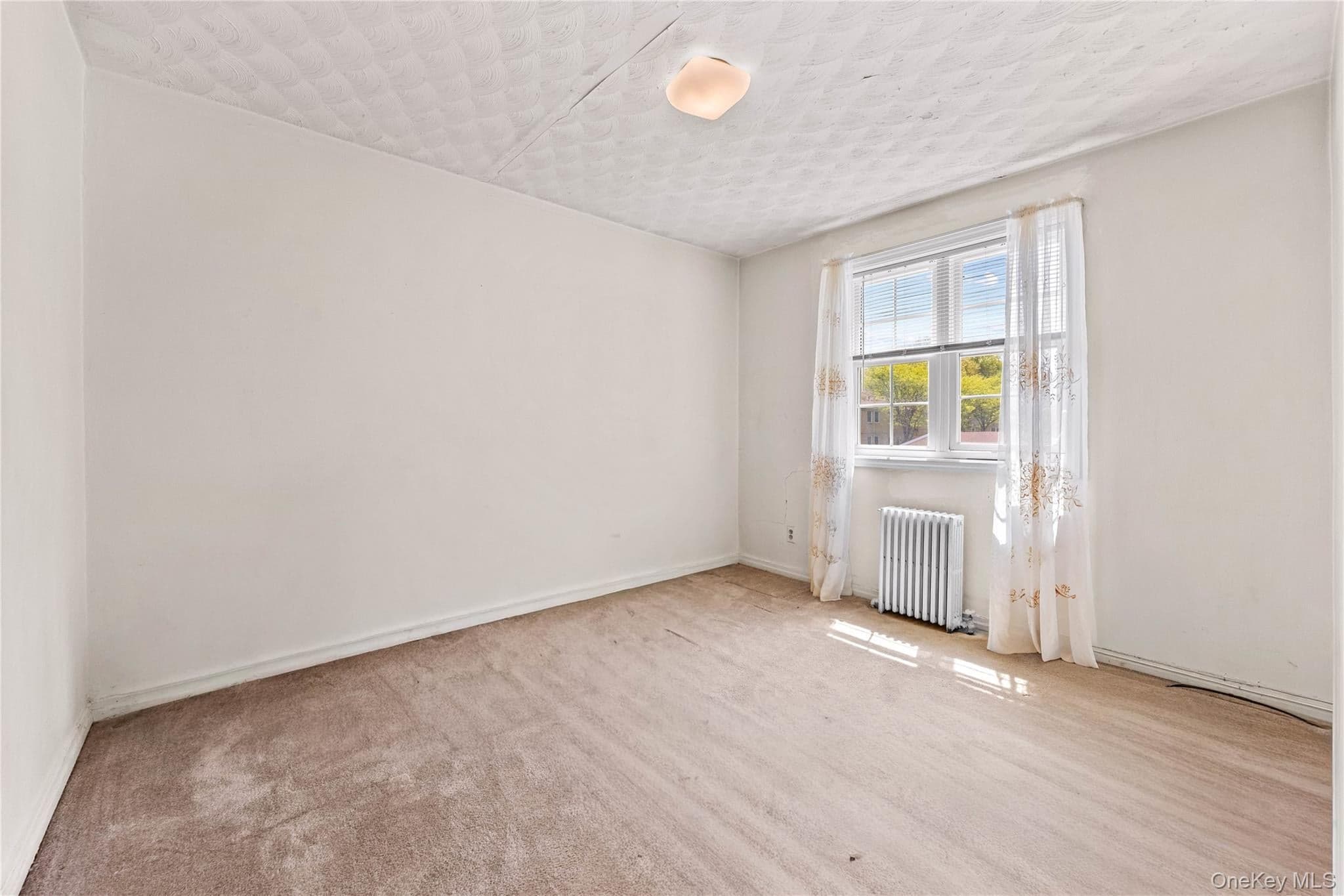 223-52 65th Avenue Unit: 52B thumbnail 11