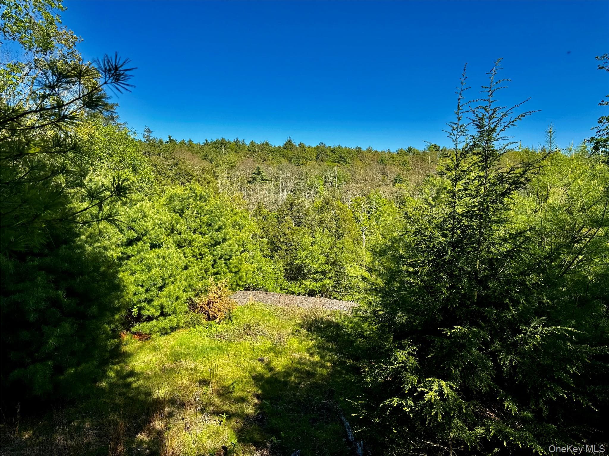 101 Stone Road photo 1