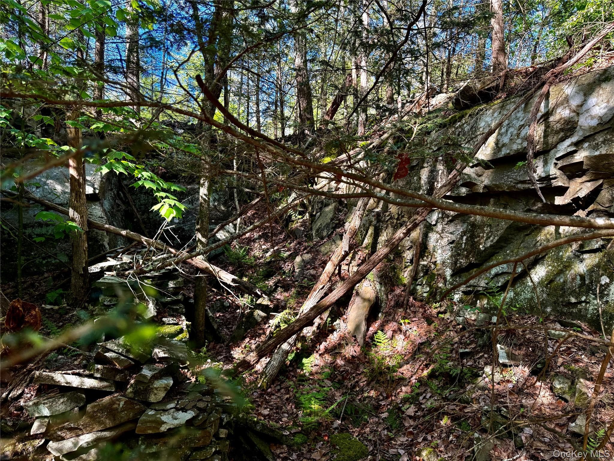 101 Stone Road thumbnail 22