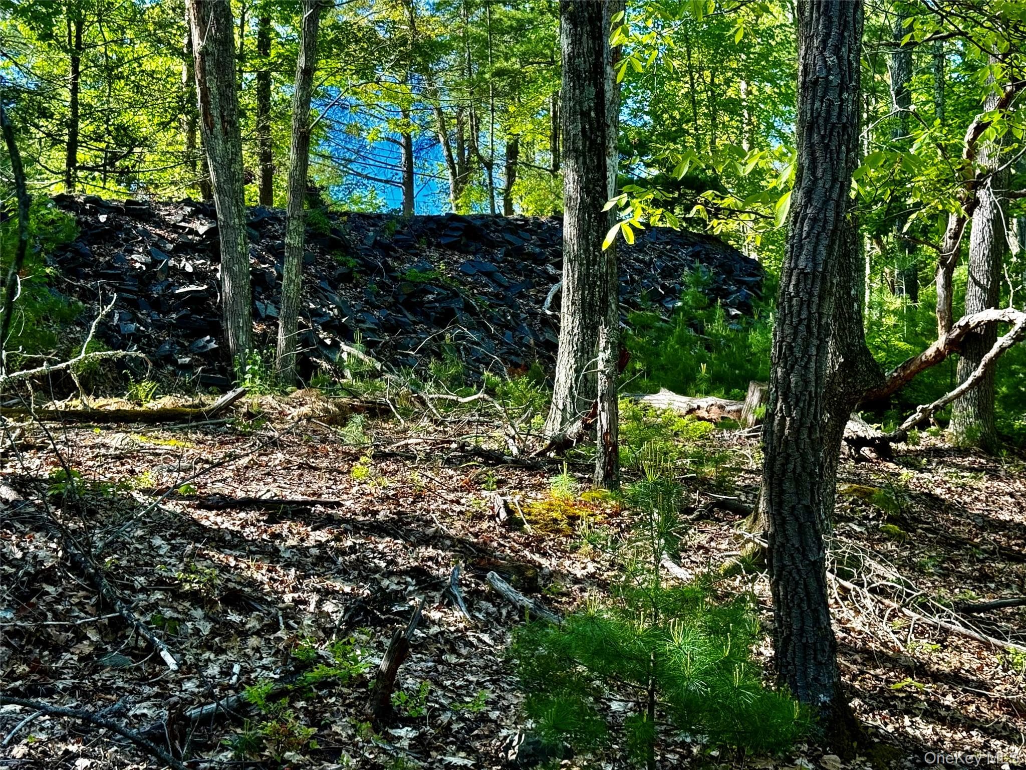 101 Stone Road thumbnail 18