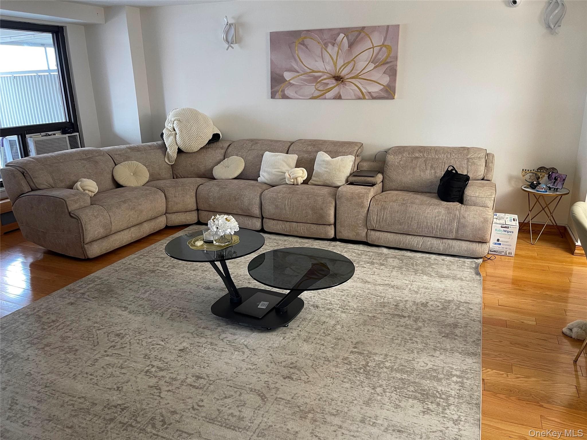 61-35 98th St St Unit: 10D thumbnail 12