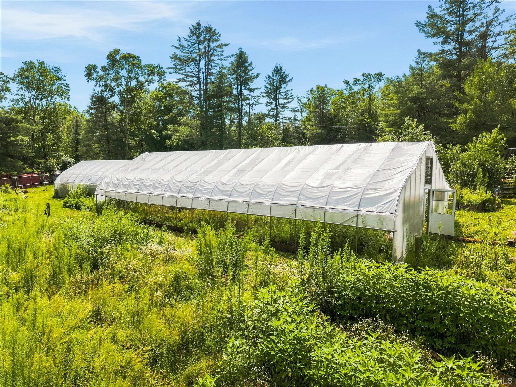 985 Cold Spring Road thumbnail 31