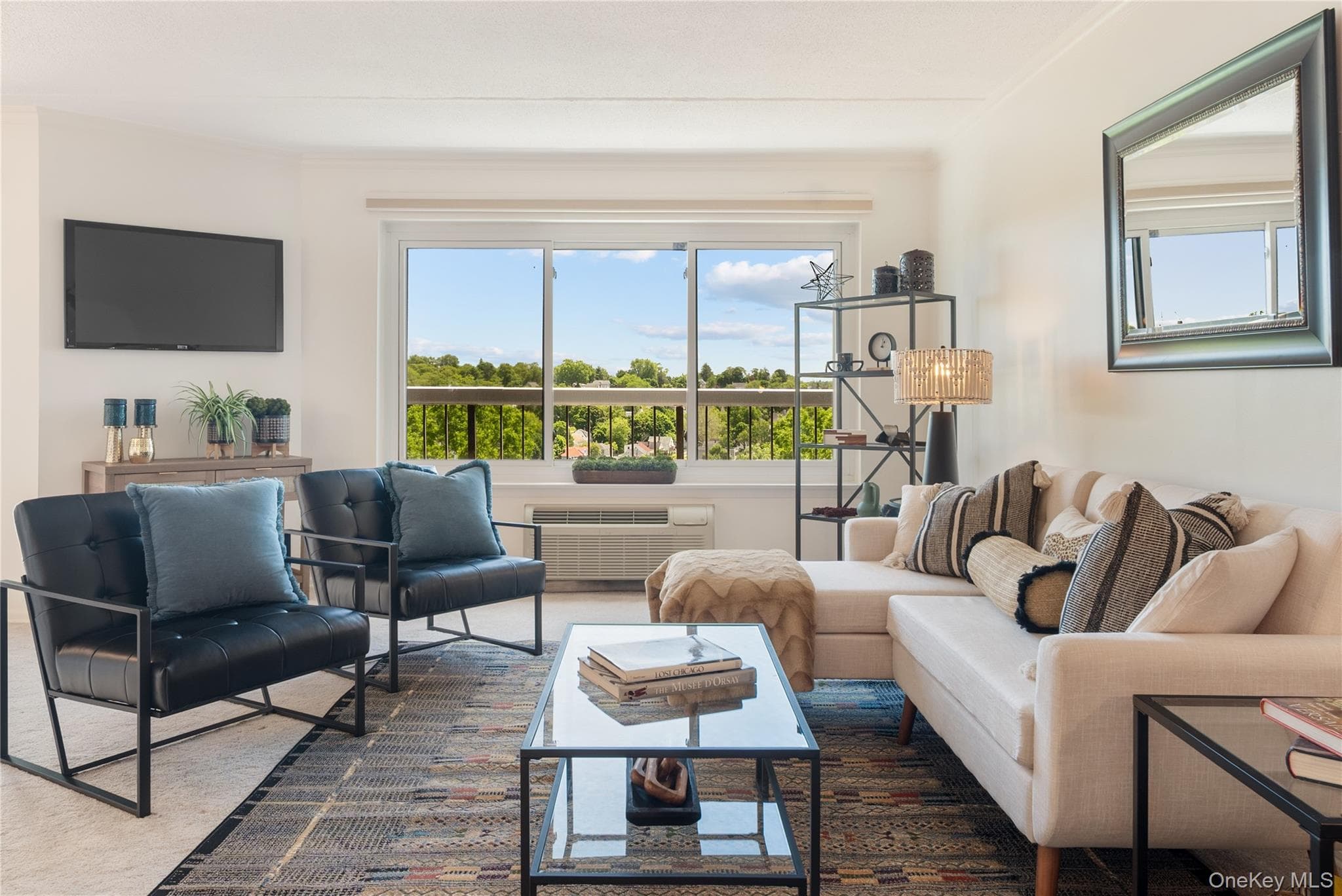 500 High Point Drive Unit: 707, Hartsdale