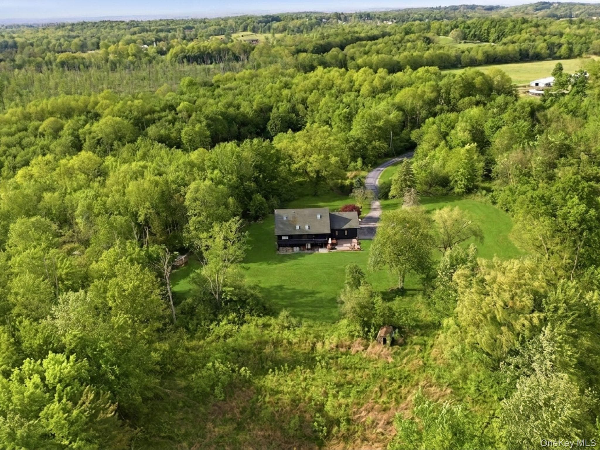 97 Svenski Road thumbnail 48