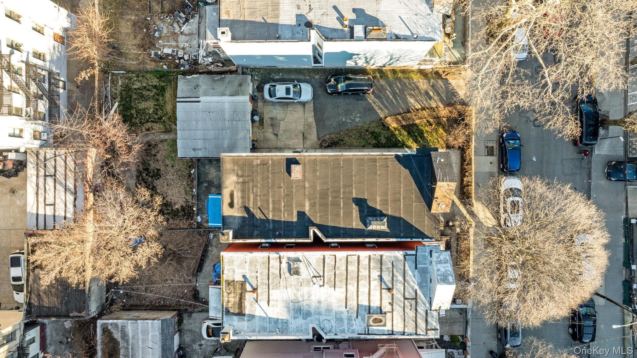 675 E 223rd Street thumbnail 11