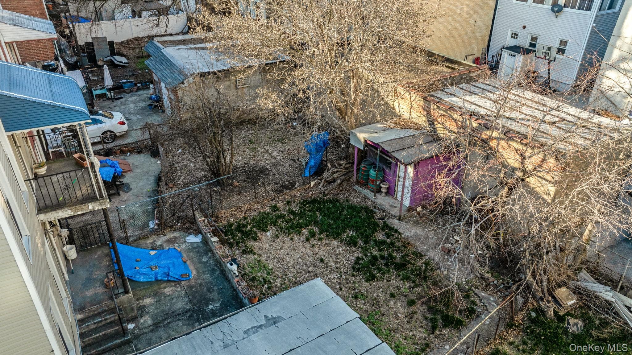 675 E 223rd Street thumbnail 15