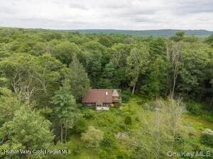 323 Beaverkill Road thumbnail 43