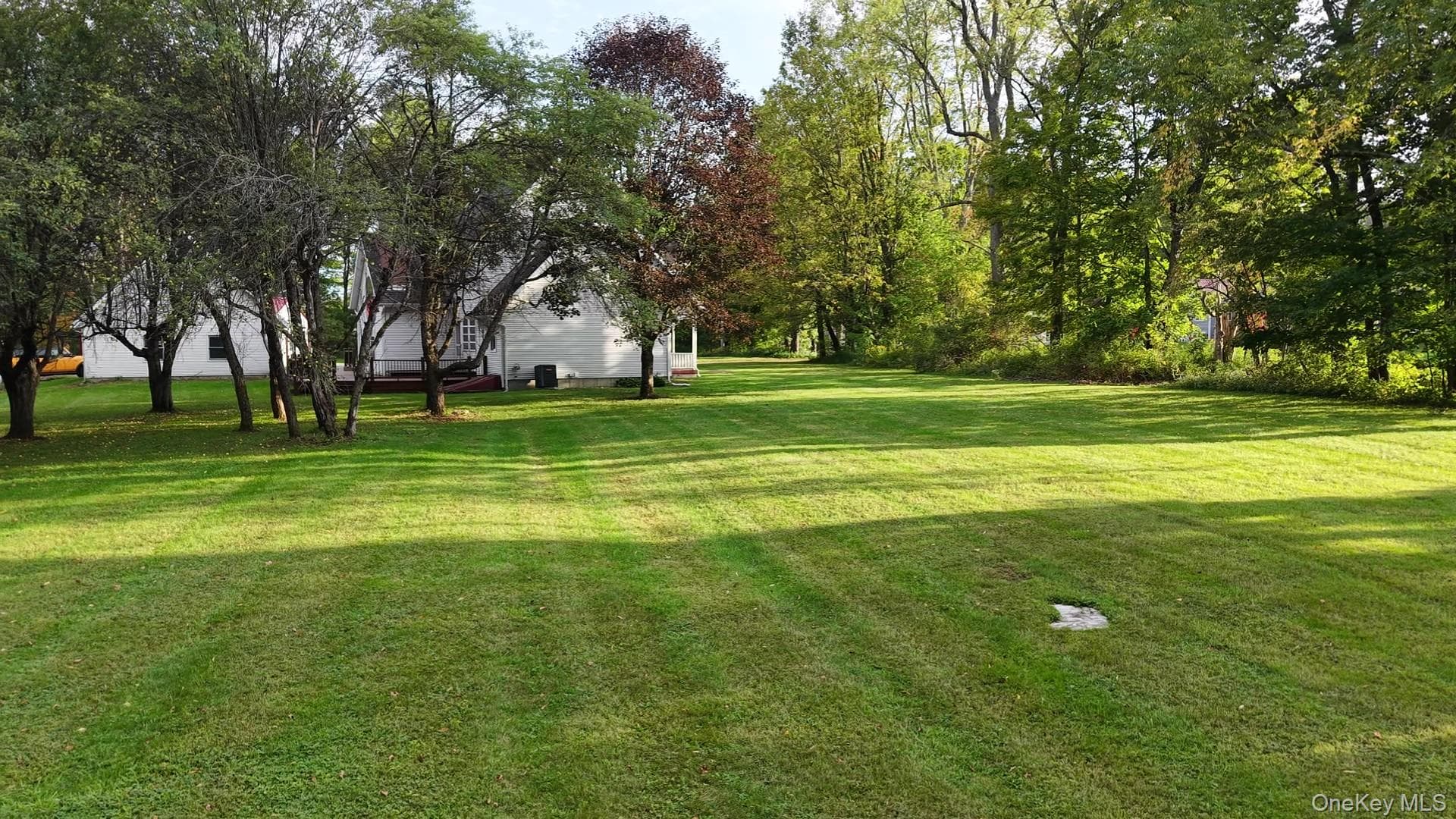 9138 Plank Road thumbnail 4