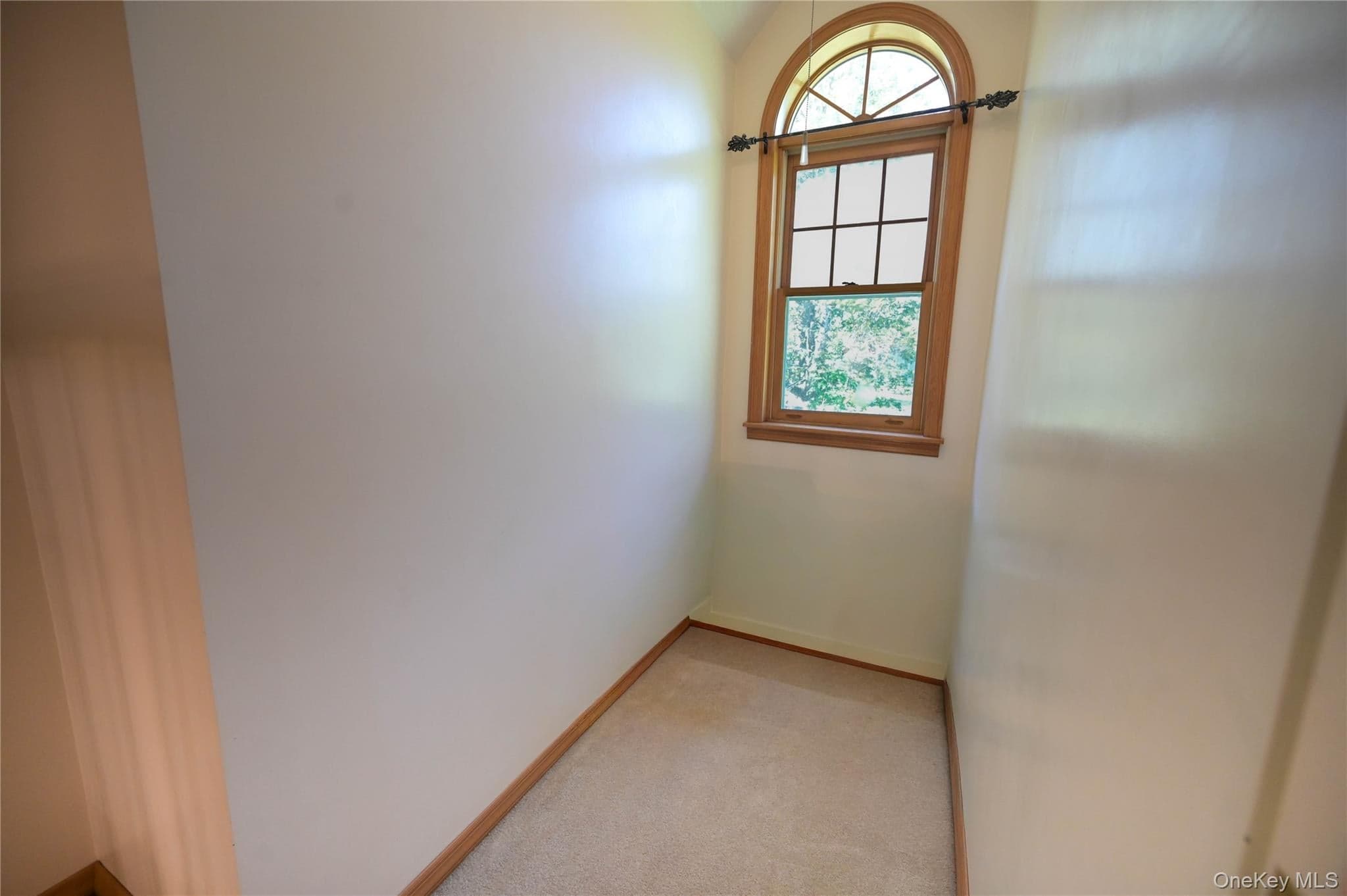 9138 Plank Road thumbnail 30