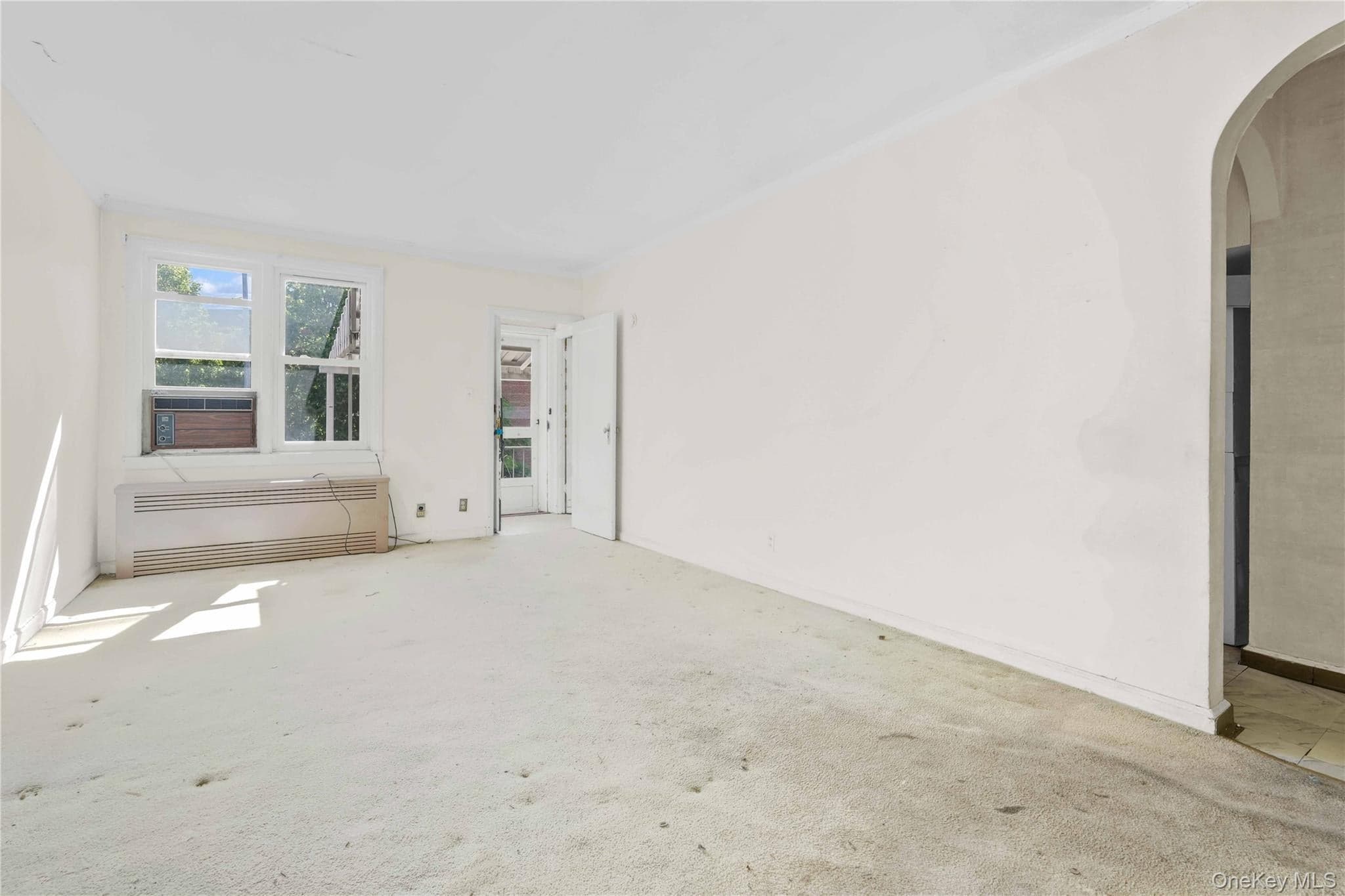 67-10 Selfridge Street thumbnail 19
