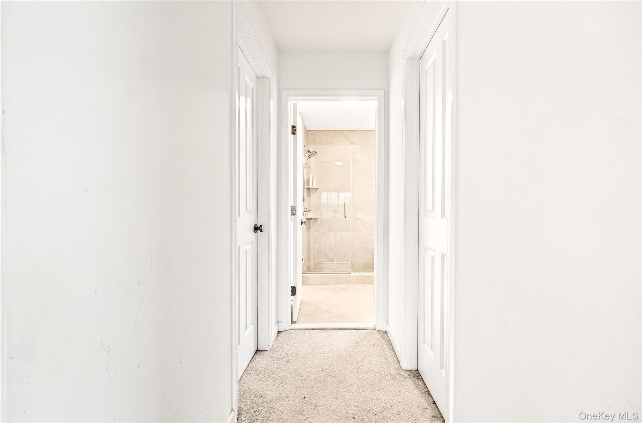 38 Highgrove Drive thumbnail 47