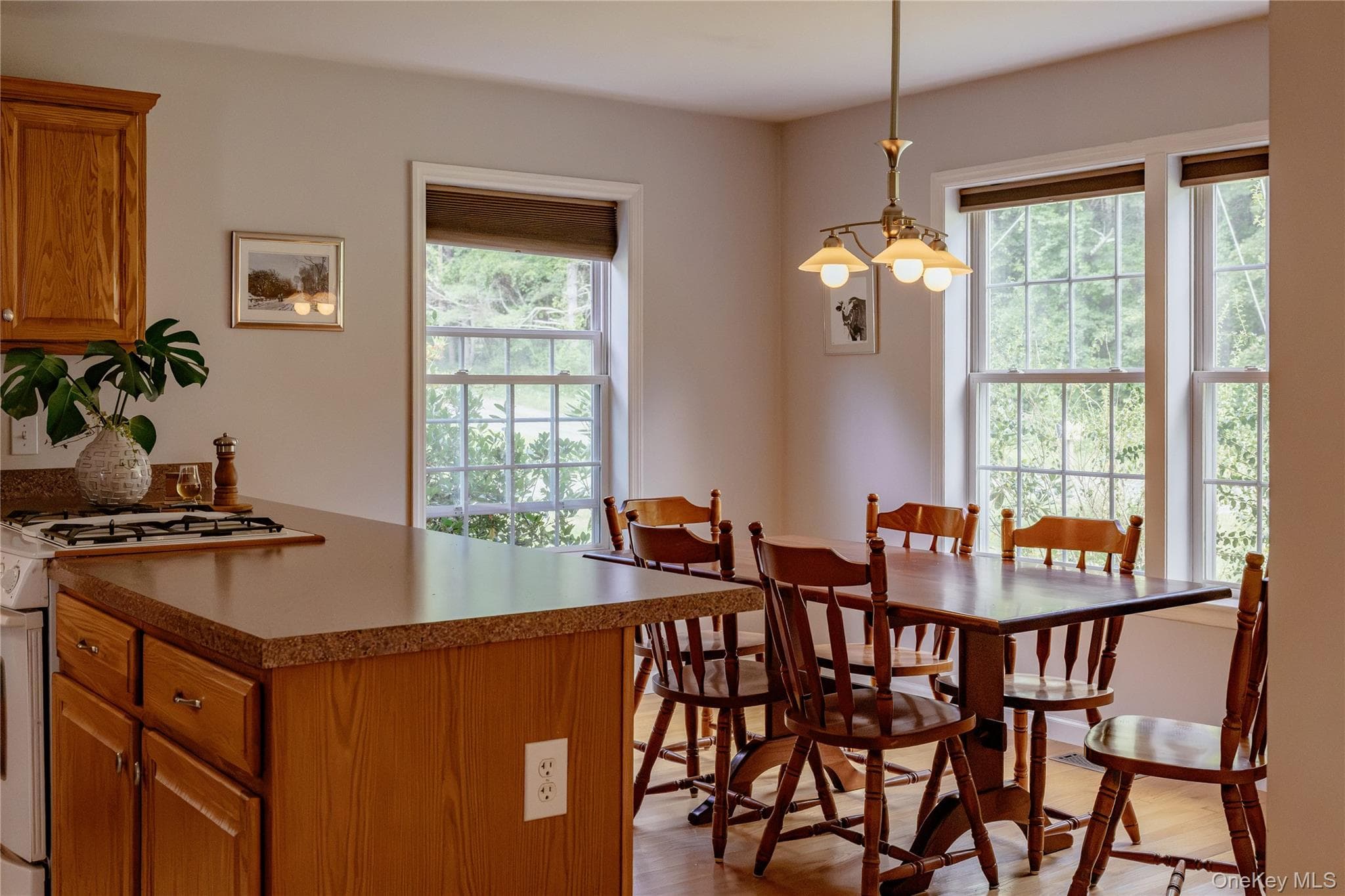 310 Pine Ridge Lane thumbnail 23