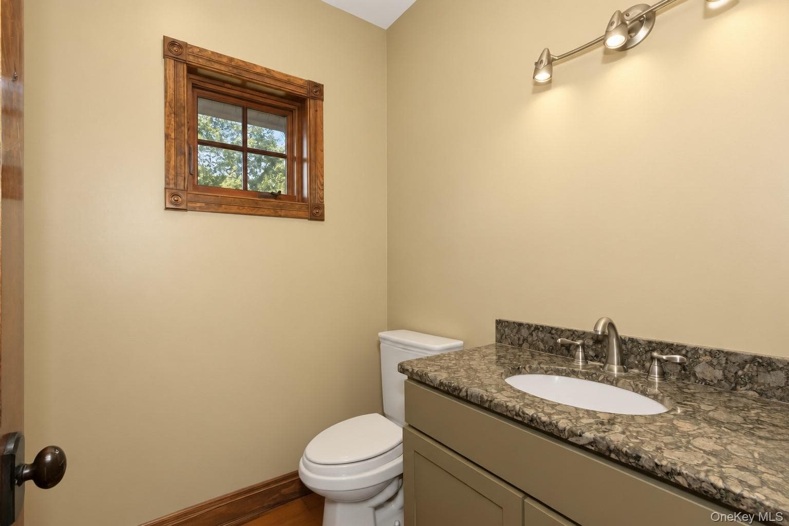 231 Celery Avenue thumbnail 27