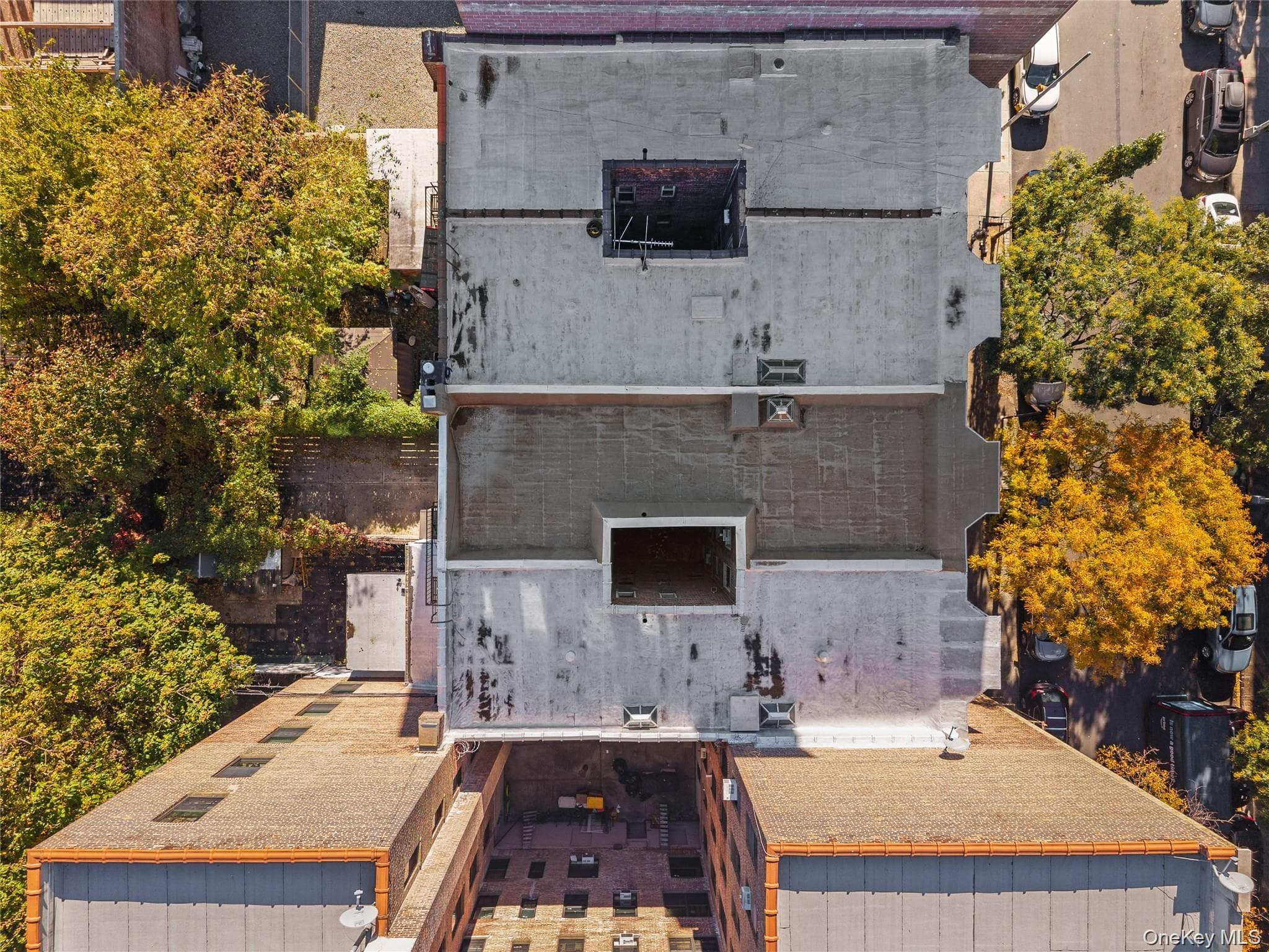 2308 Morris Avenue thumbnail 35