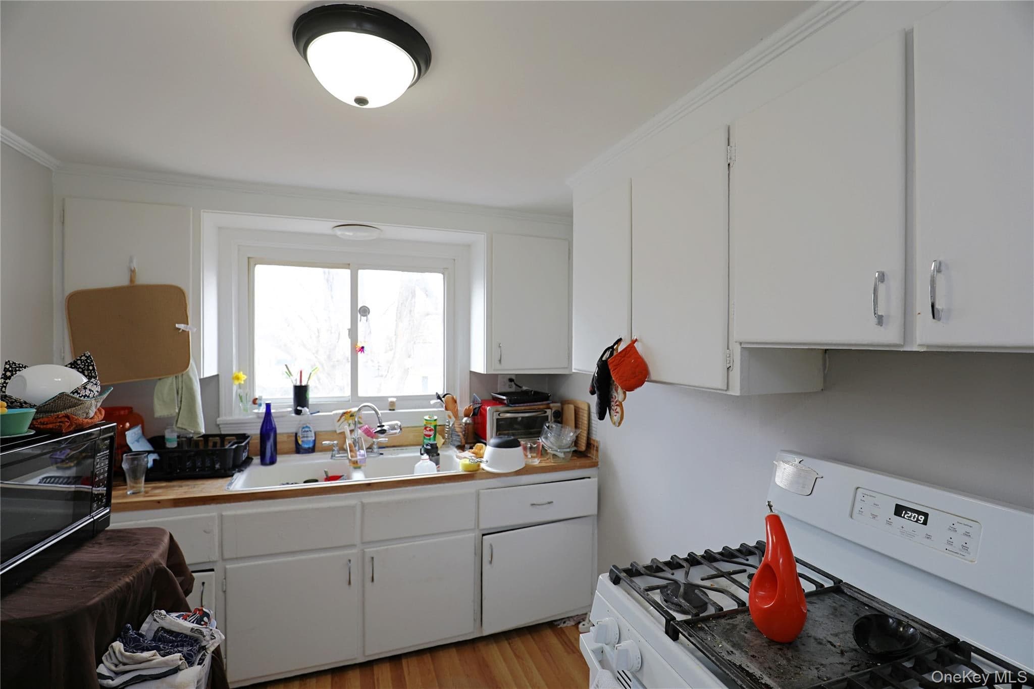343 Washington Avenue thumbnail 14