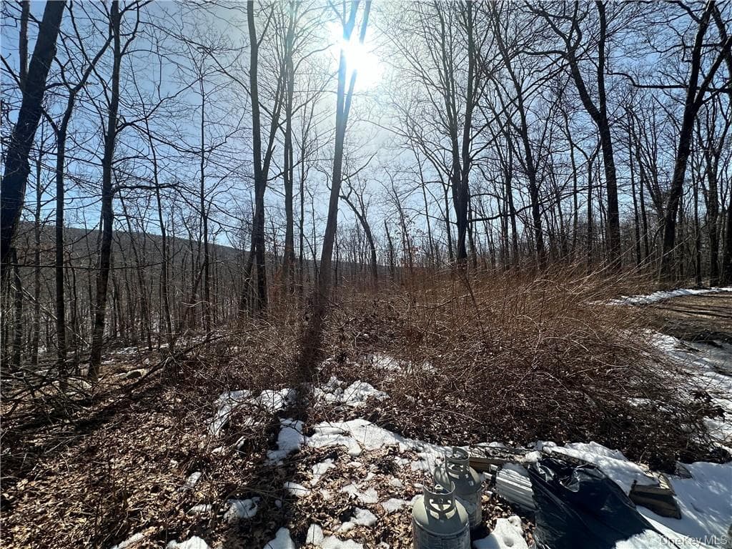 2215 Greenville Turnpike thumbnail 18