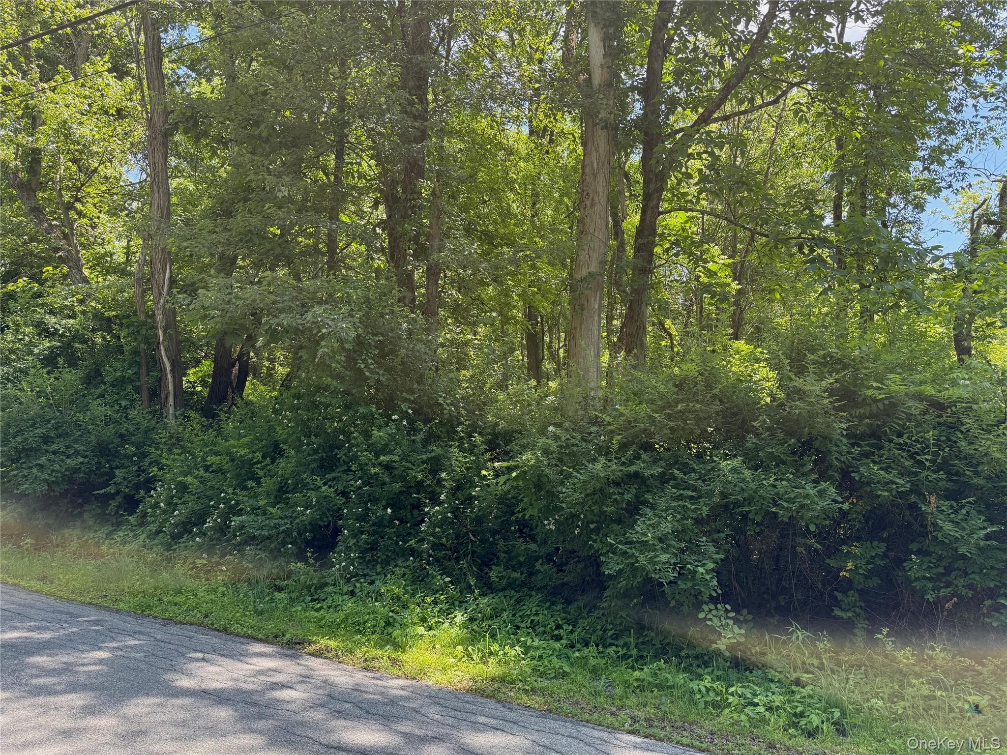 Schoolhouse Road thumbnail 3