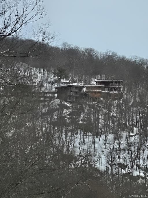60 Woods Road thumbnail 4
