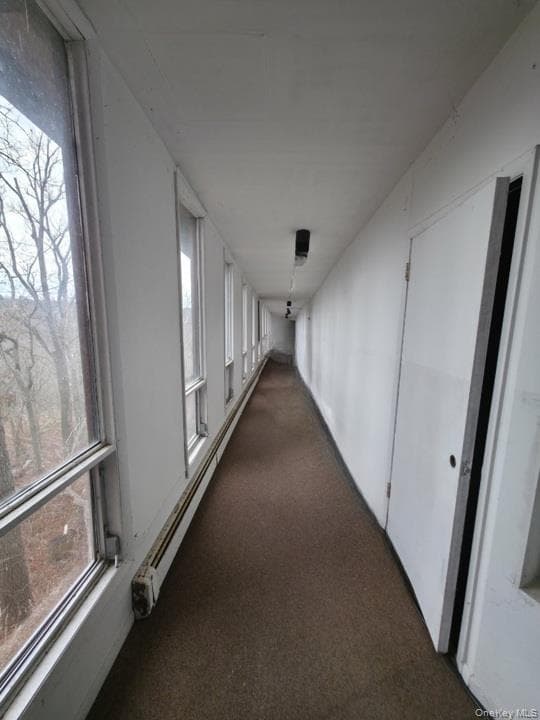 60 Woods Road thumbnail 15