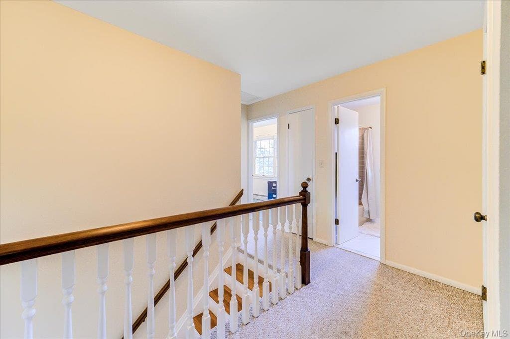 207 Butter Hill Drive thumbnail 4