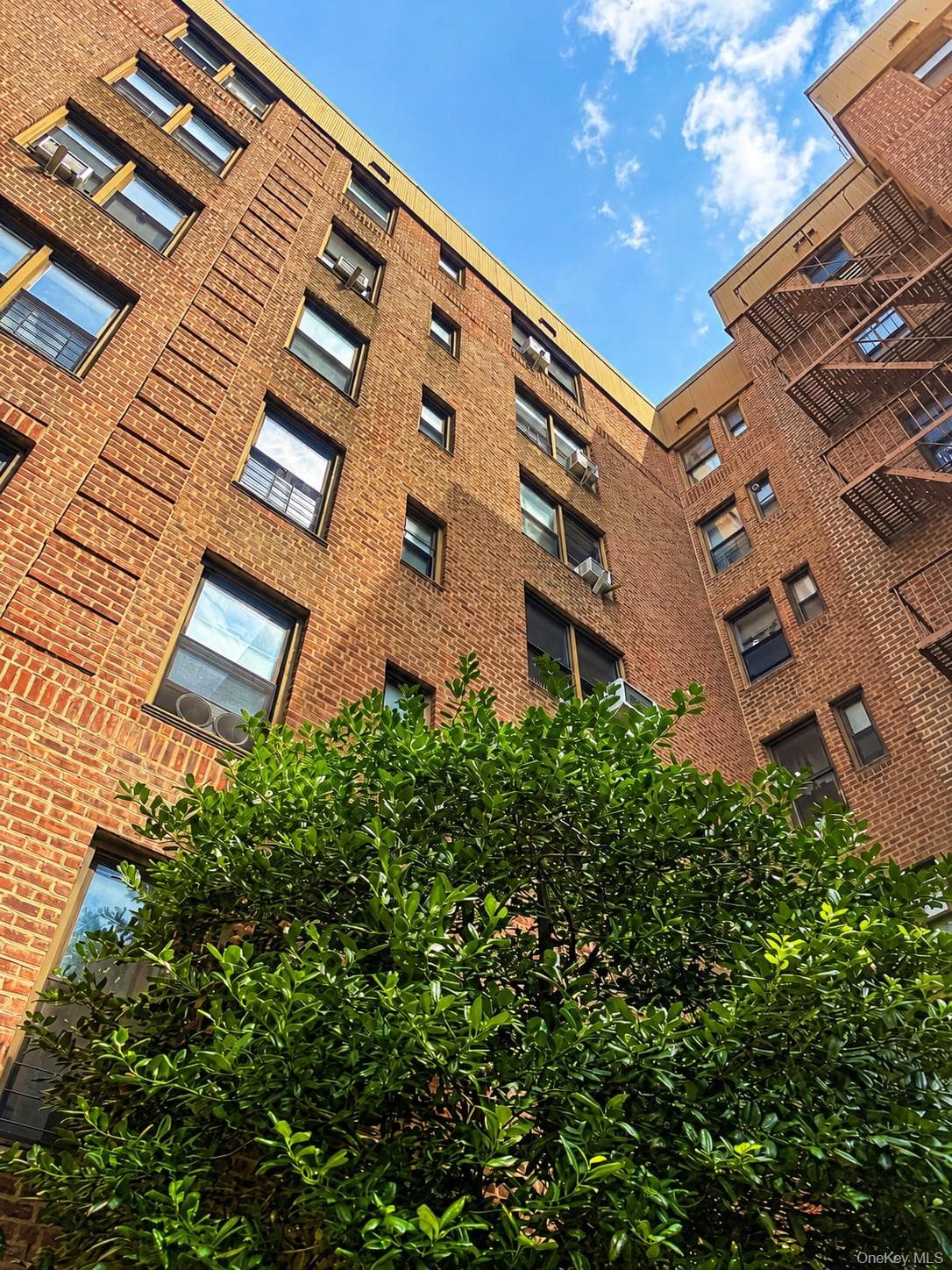 83-05 98 Street Unit: 5B thumbnail 2