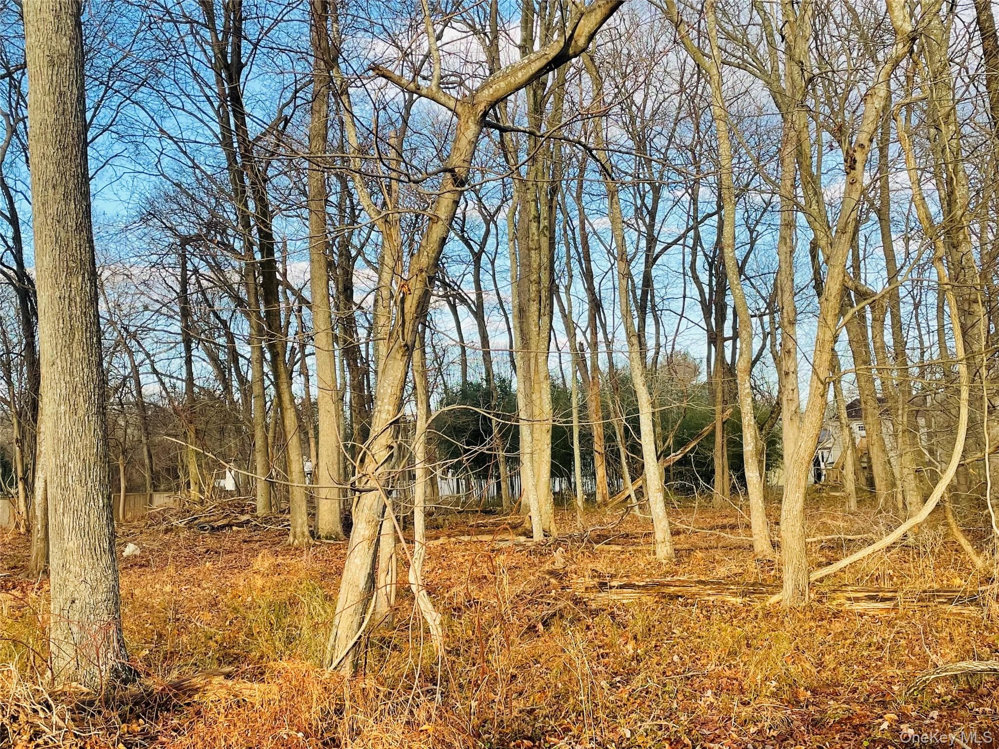 VL Daniel Lane, Middle Island