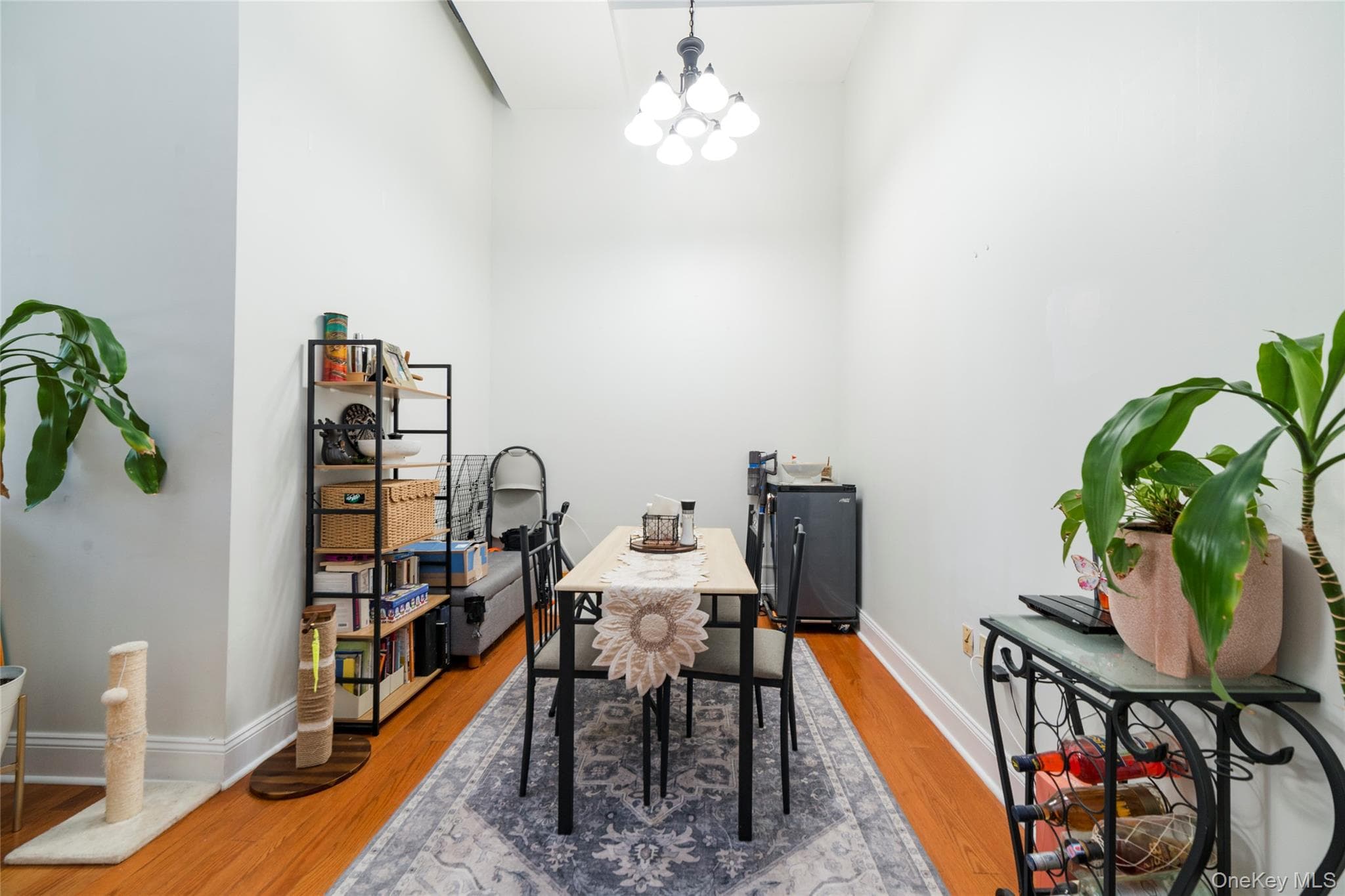 25 Leroy Place Unit: 501 thumbnail 5