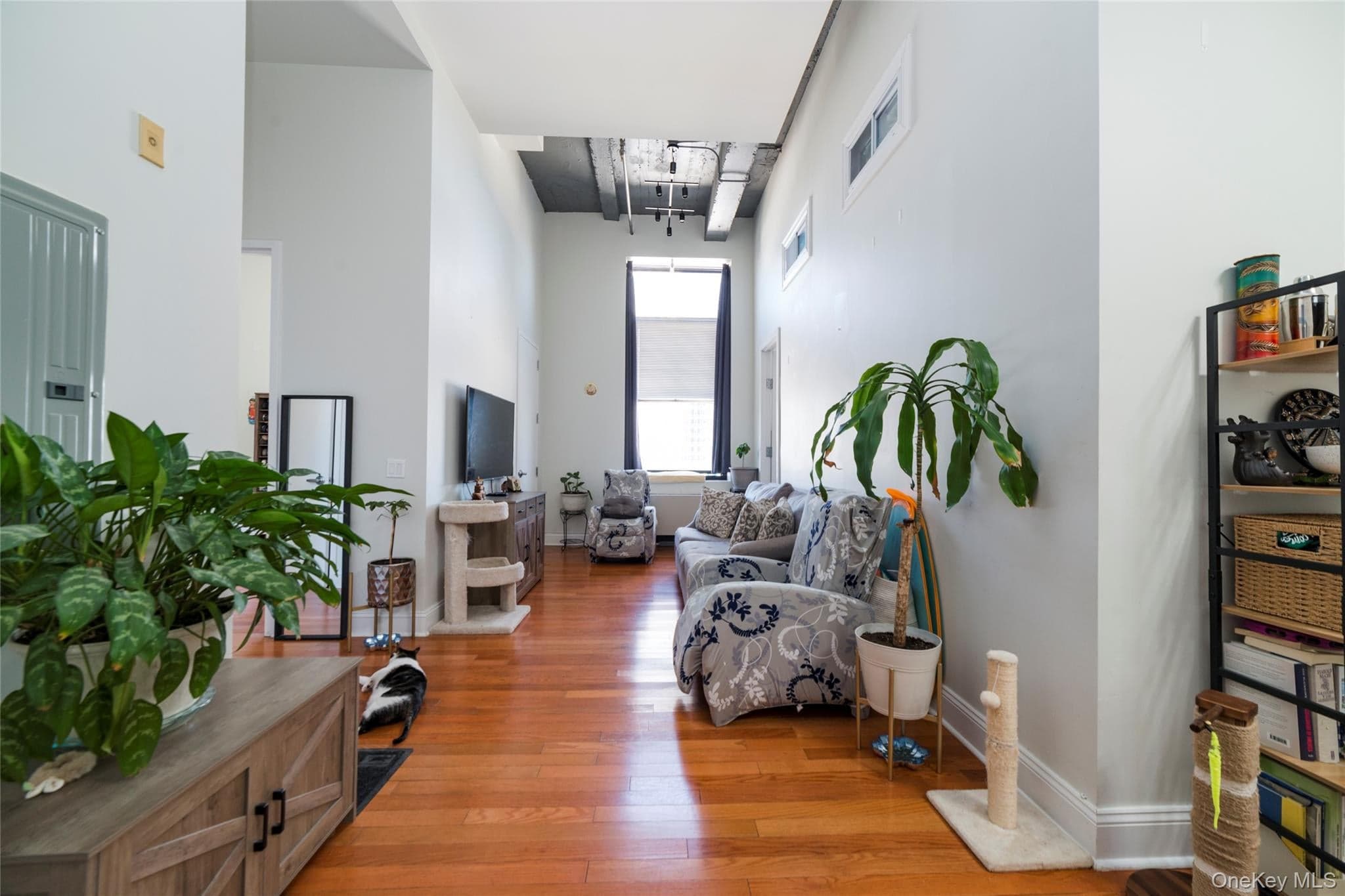 25 Leroy Place Unit: 501 thumbnail 3