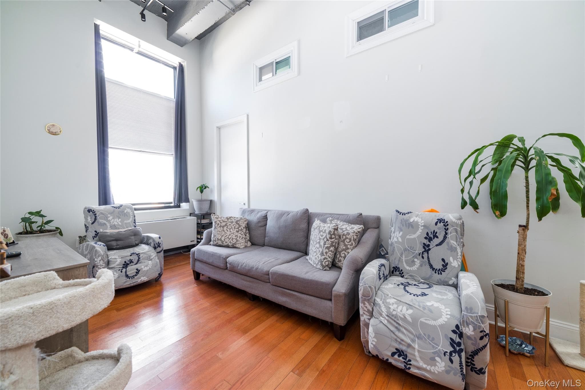 25 Leroy Place Unit: 501 thumbnail 4