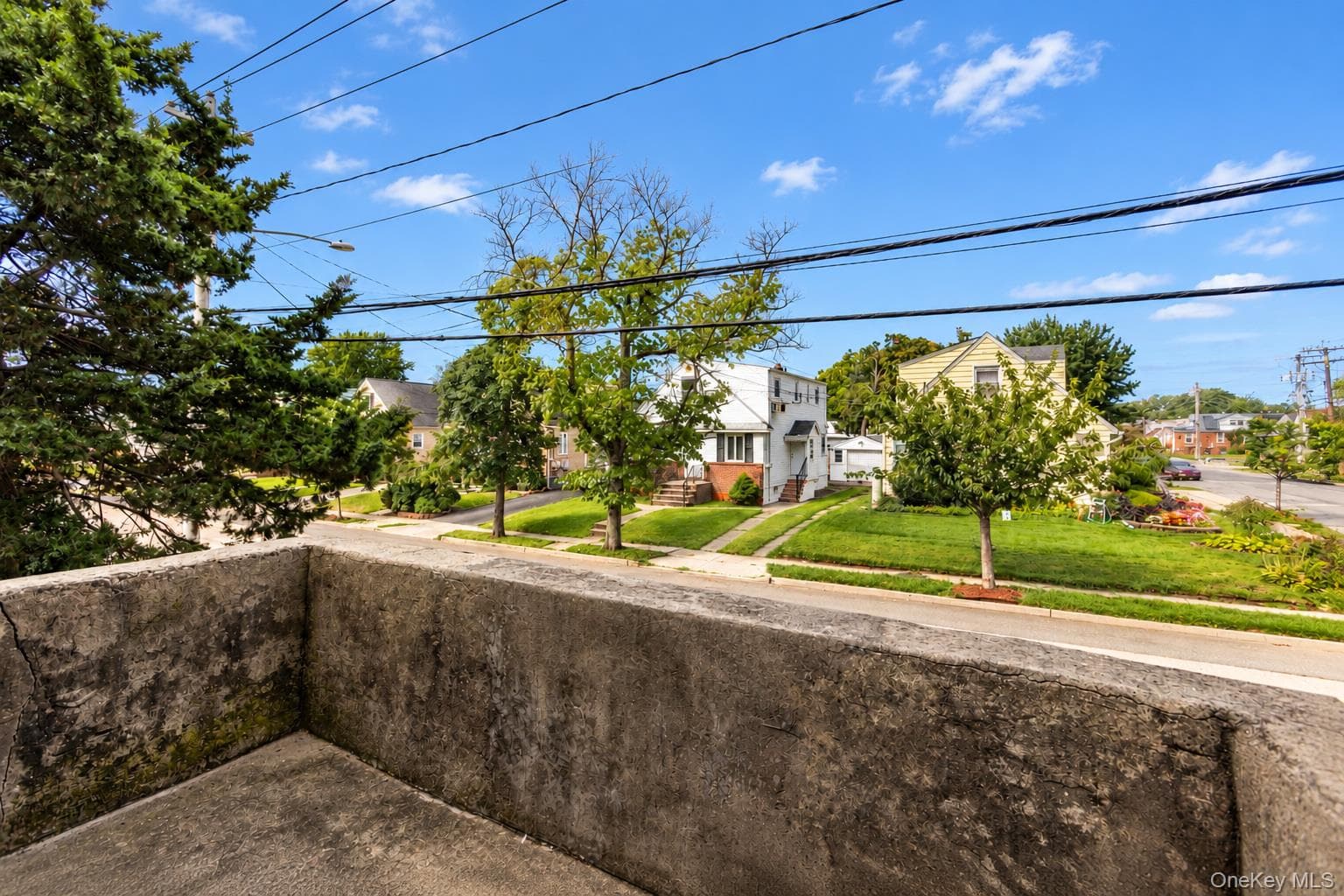 145 Arlington Avenue thumbnail 13