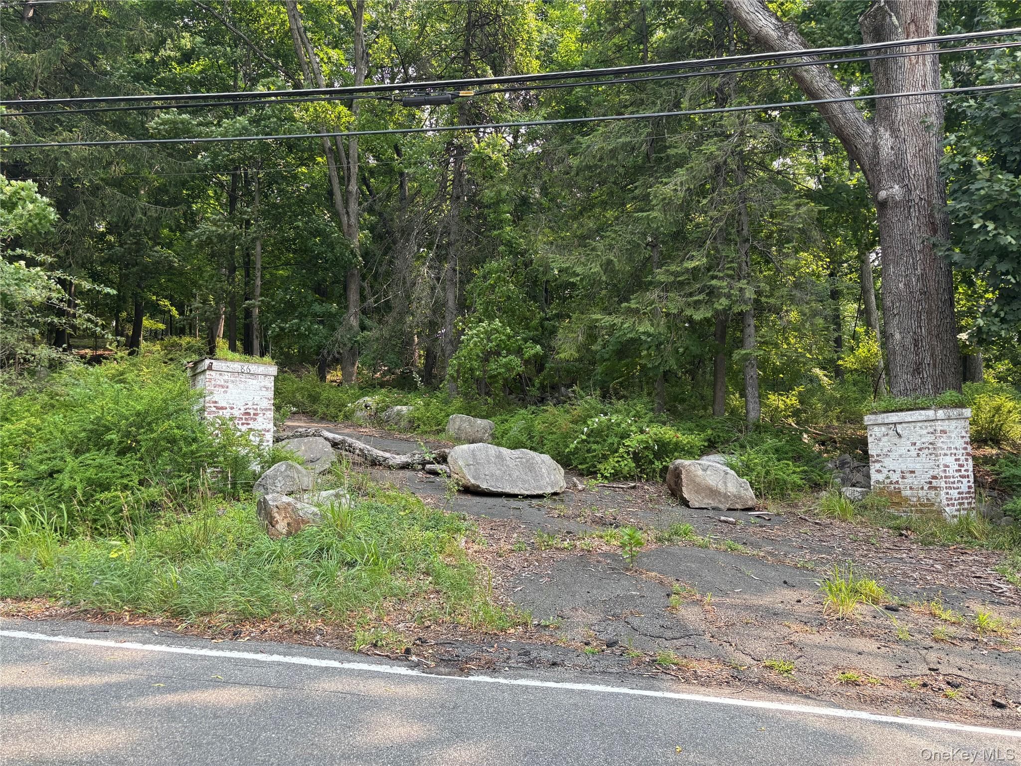 86 Buckberg Road photo 1