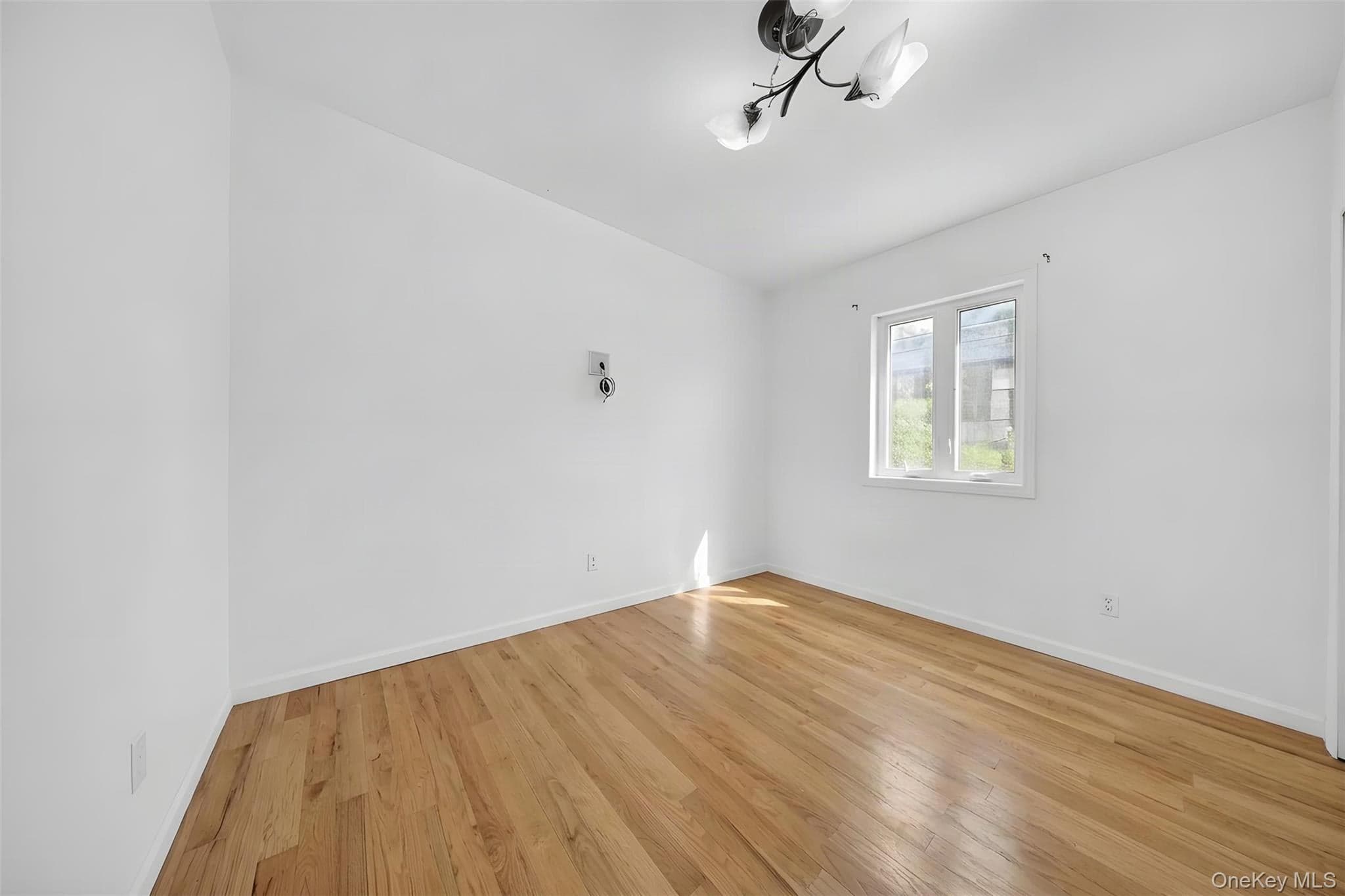 245-71 61st Avenue thumbnail 6