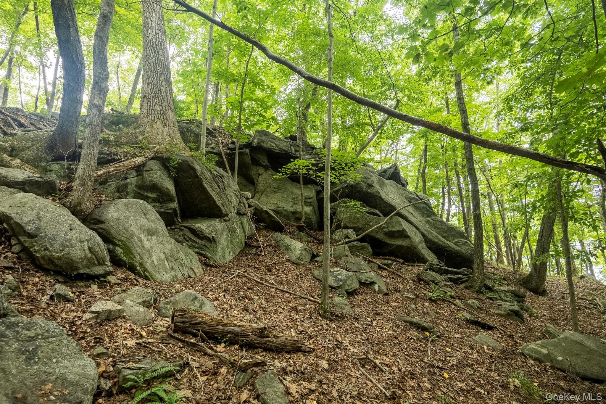 47 Rock Road thumbnail 6
