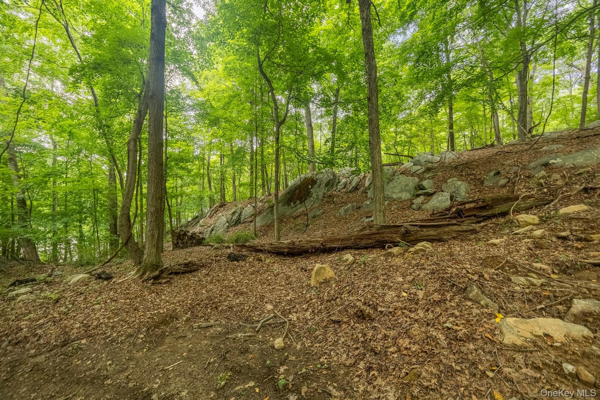 47 Rock Road thumbnail 3
