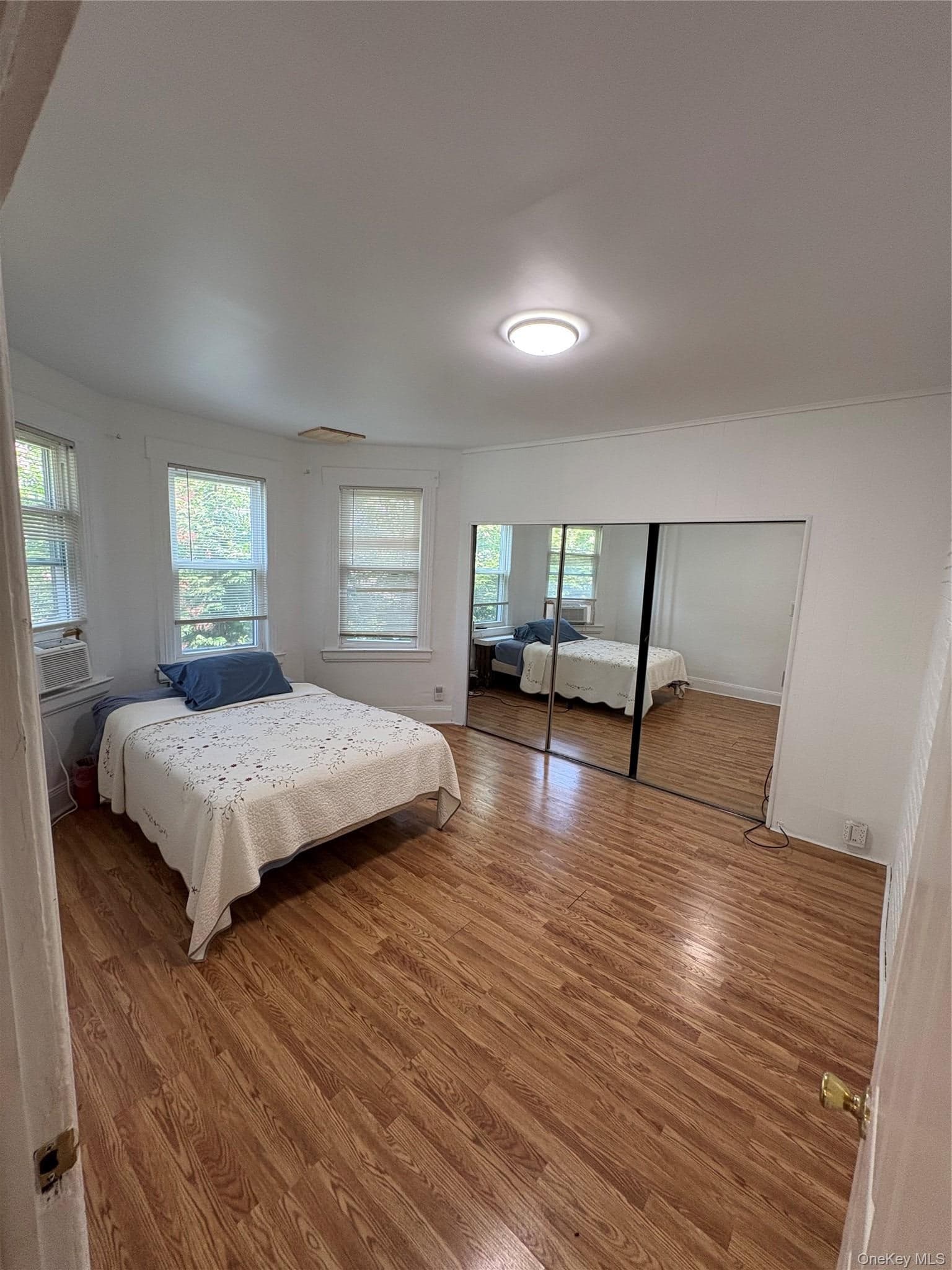 254 Hempstead Avenue thumbnail 7
