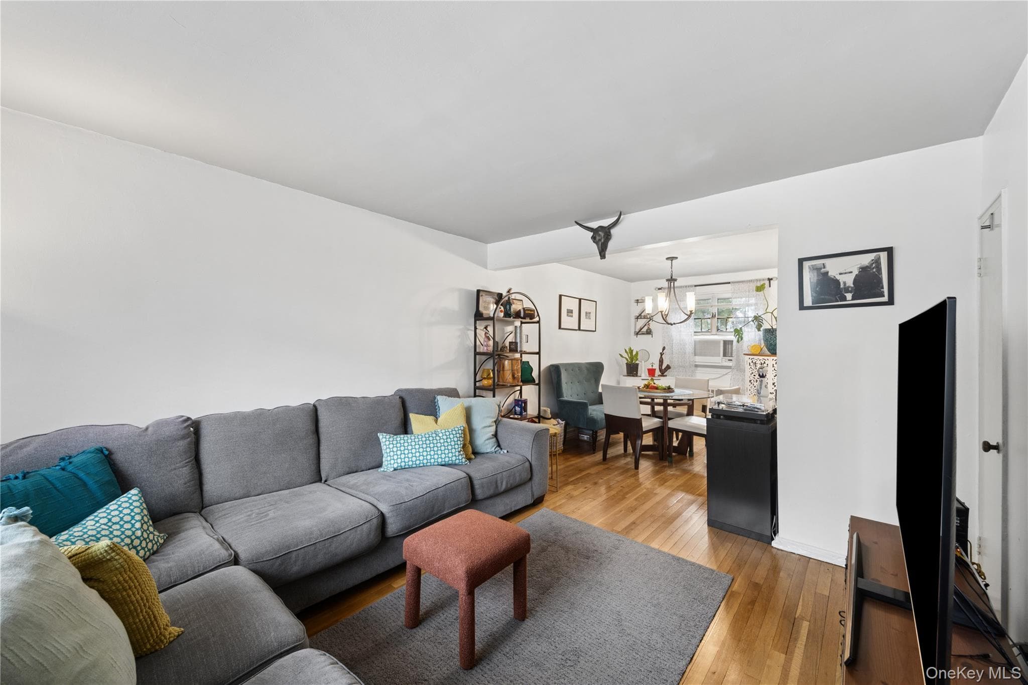 86-75 Springfield Boulevard Unit: Duplex thumbnail 5