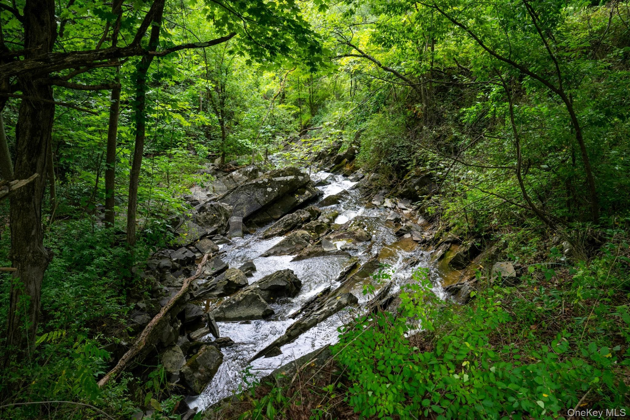166 Ulster Landing Road thumbnail 7