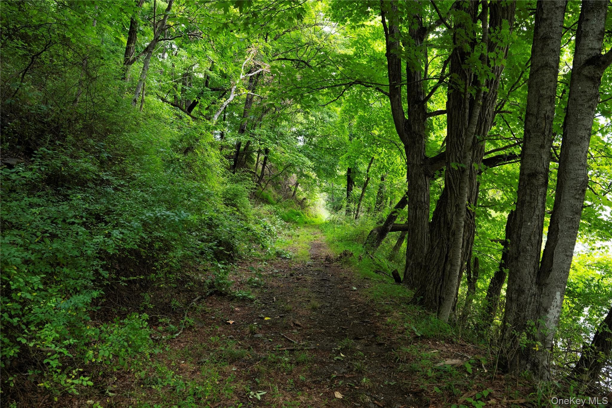 166 Ulster Landing Road thumbnail 16