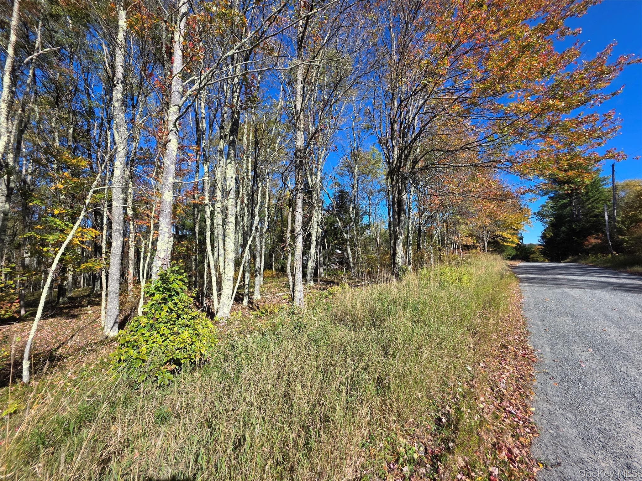 204-214 Okeefe Hill Road thumbnail 19