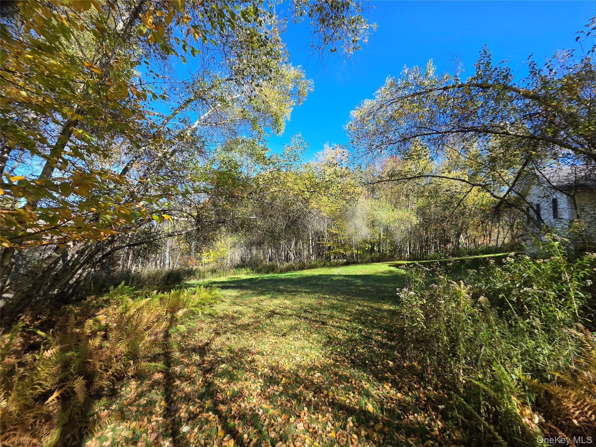 204-214 Okeefe Hill Road thumbnail 8