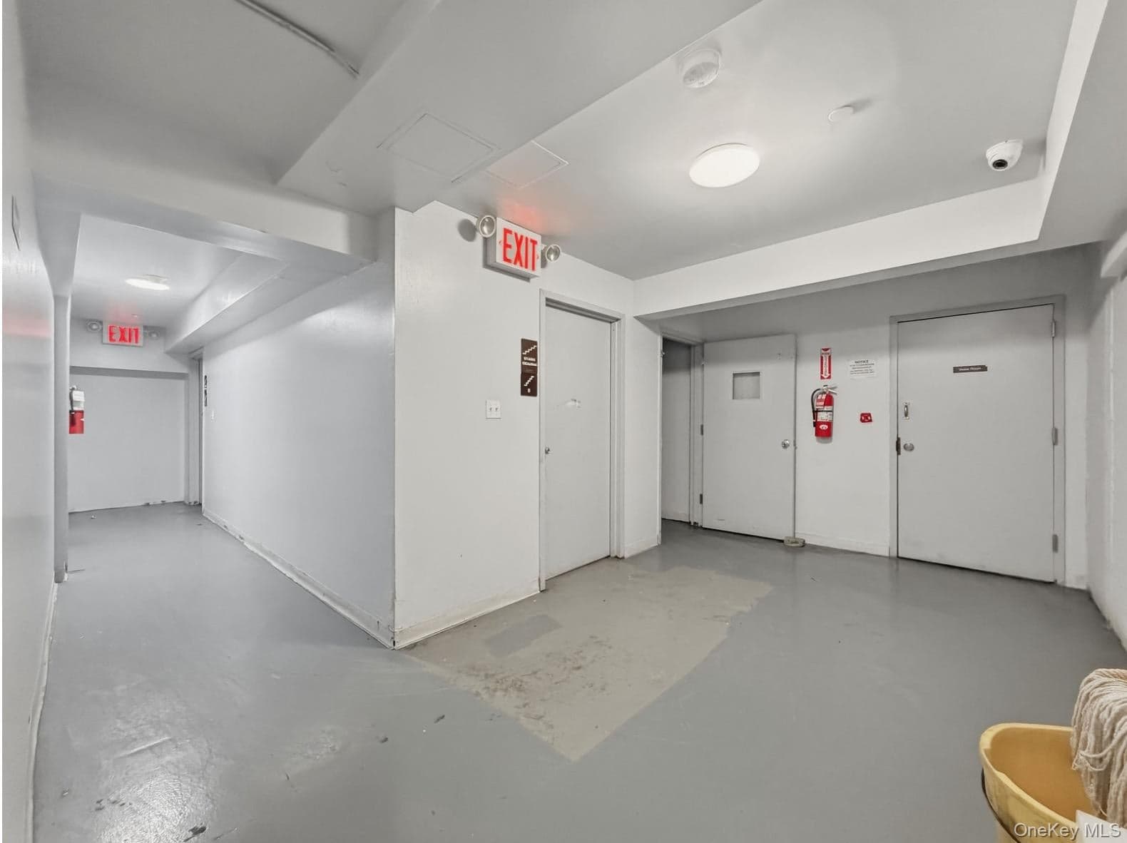 856 E 213th Street thumbnail 10