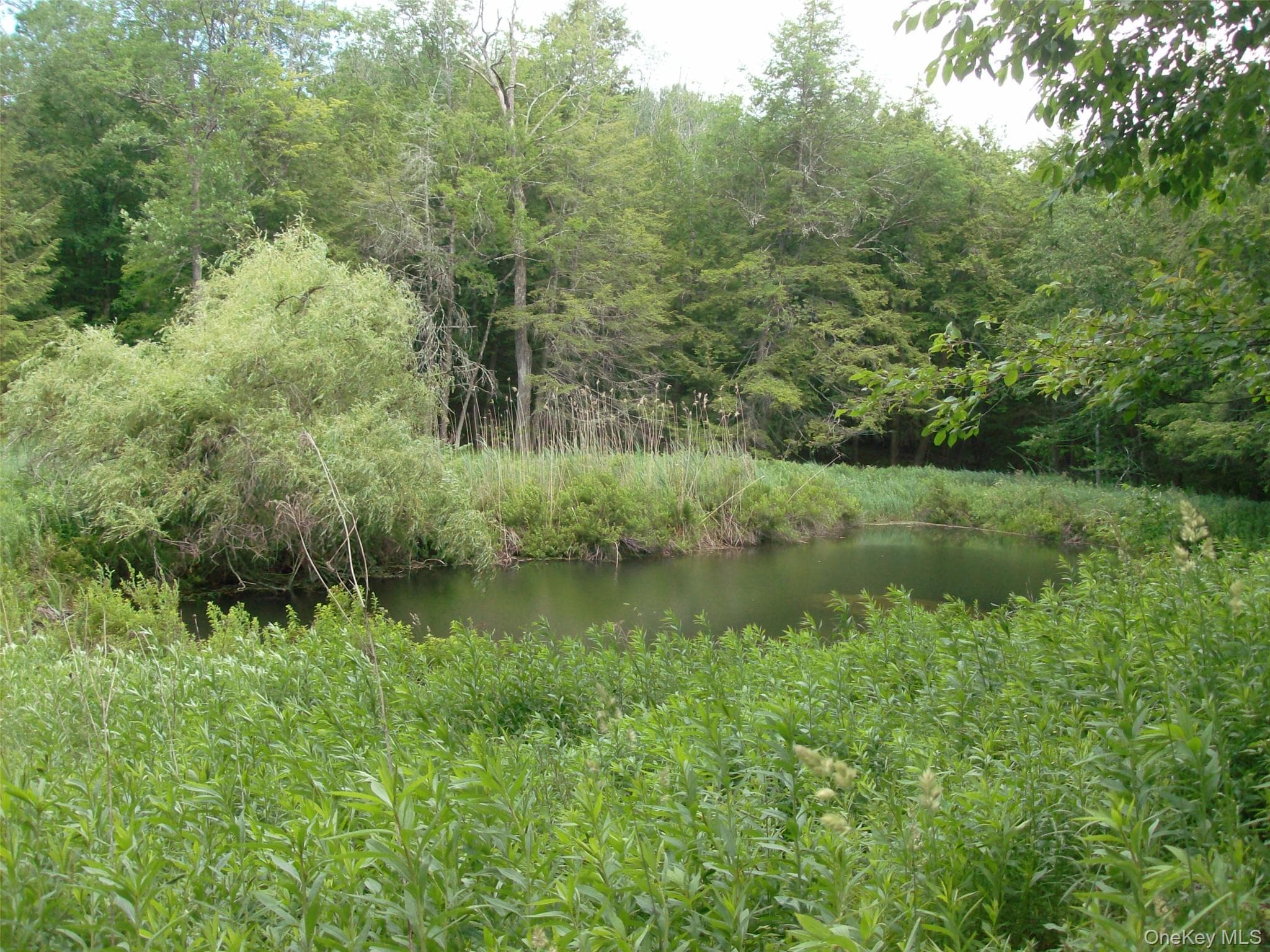 70 Bonnie Brook Road thumbnail 27