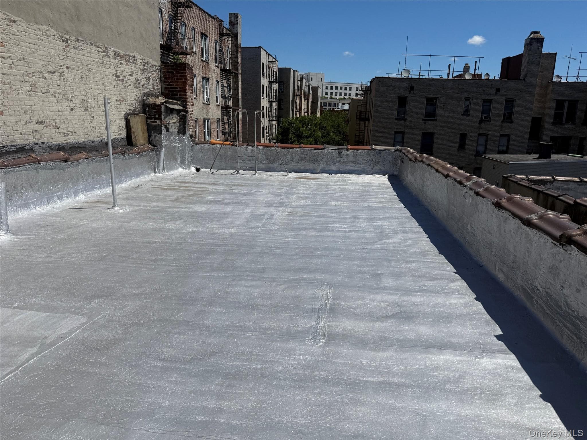 243 Bedford Park Boulevard thumbnail 4