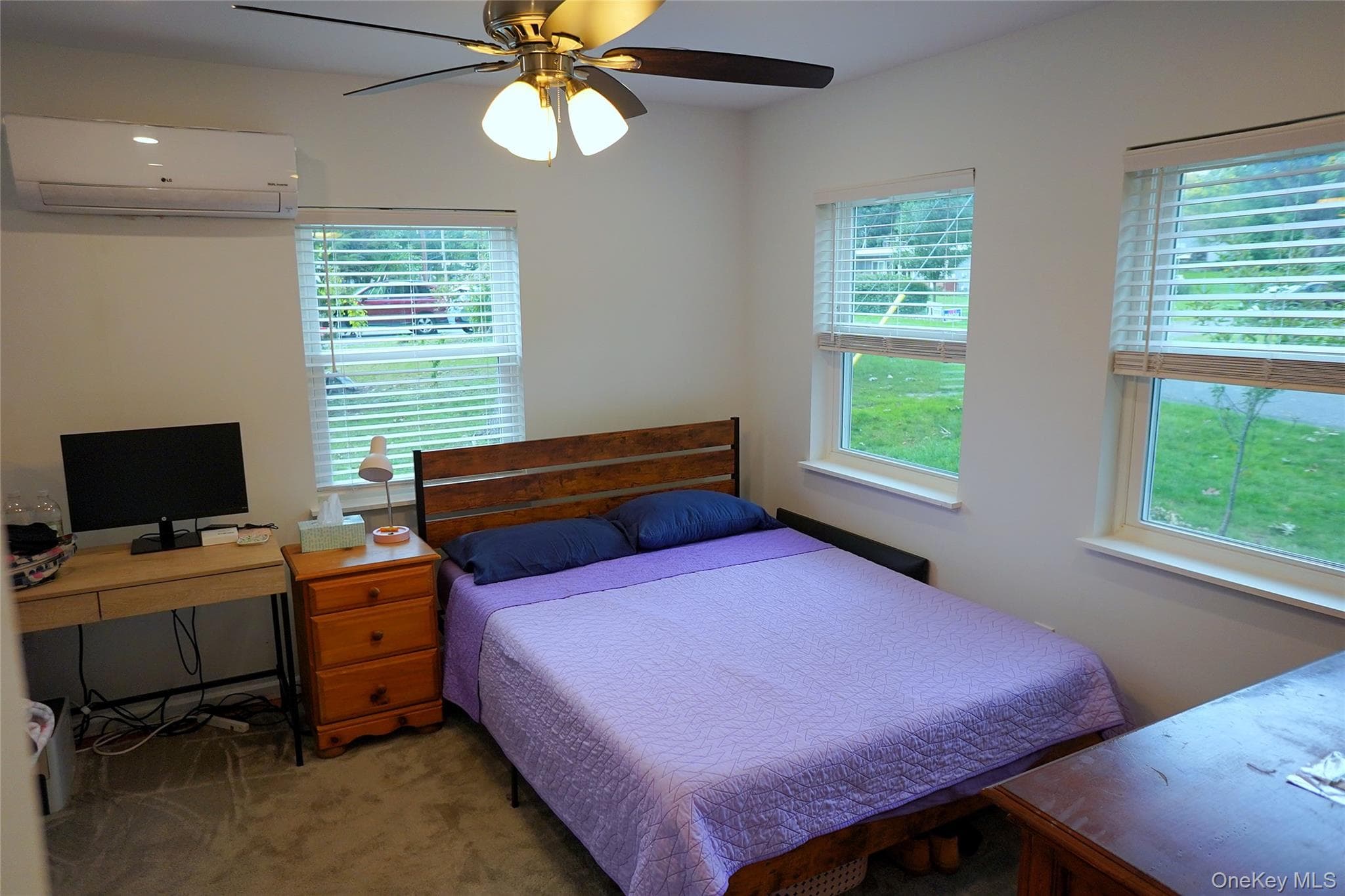 19 Meadow Street thumbnail 12