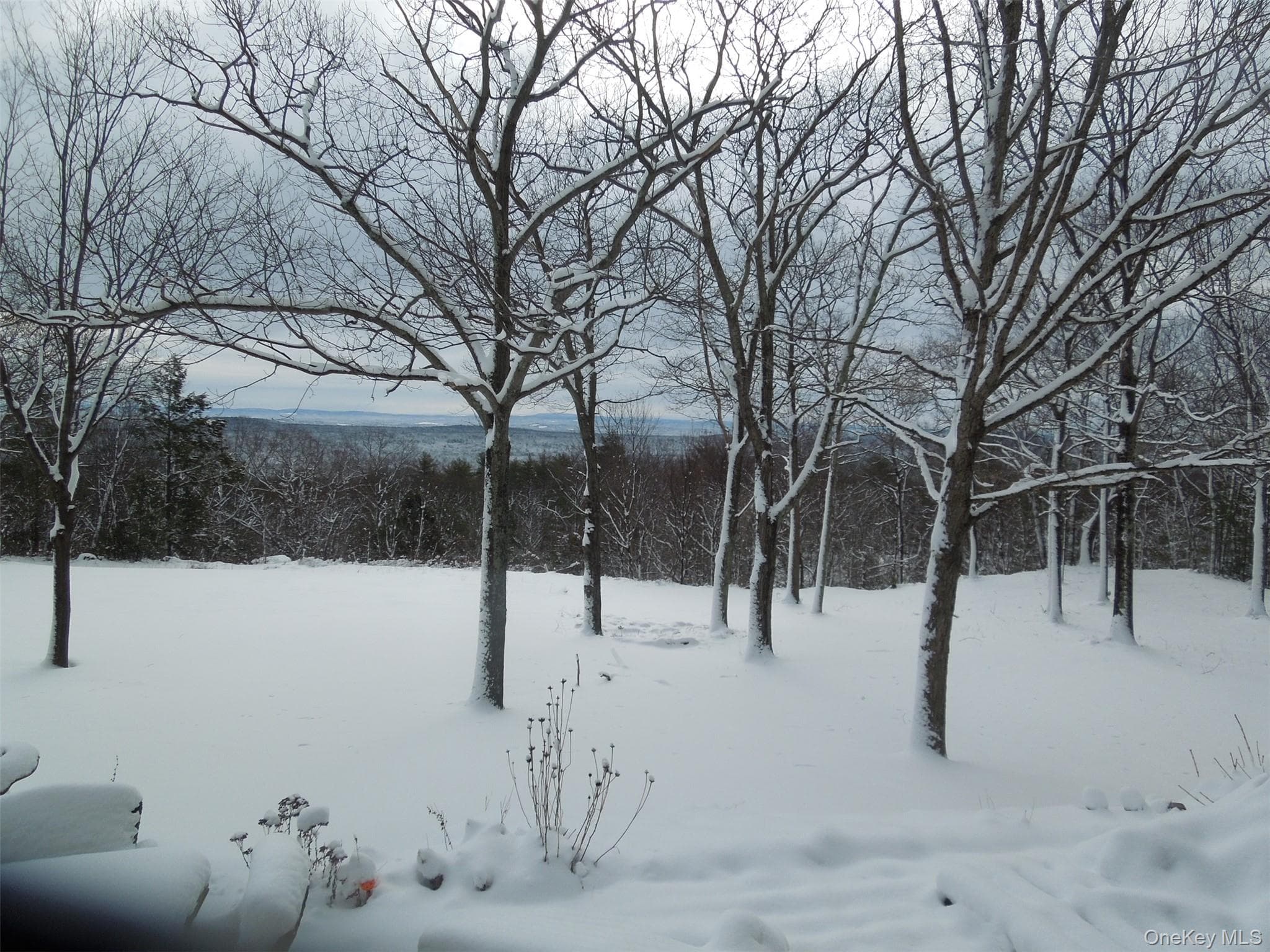 231 Manorville Road thumbnail 45