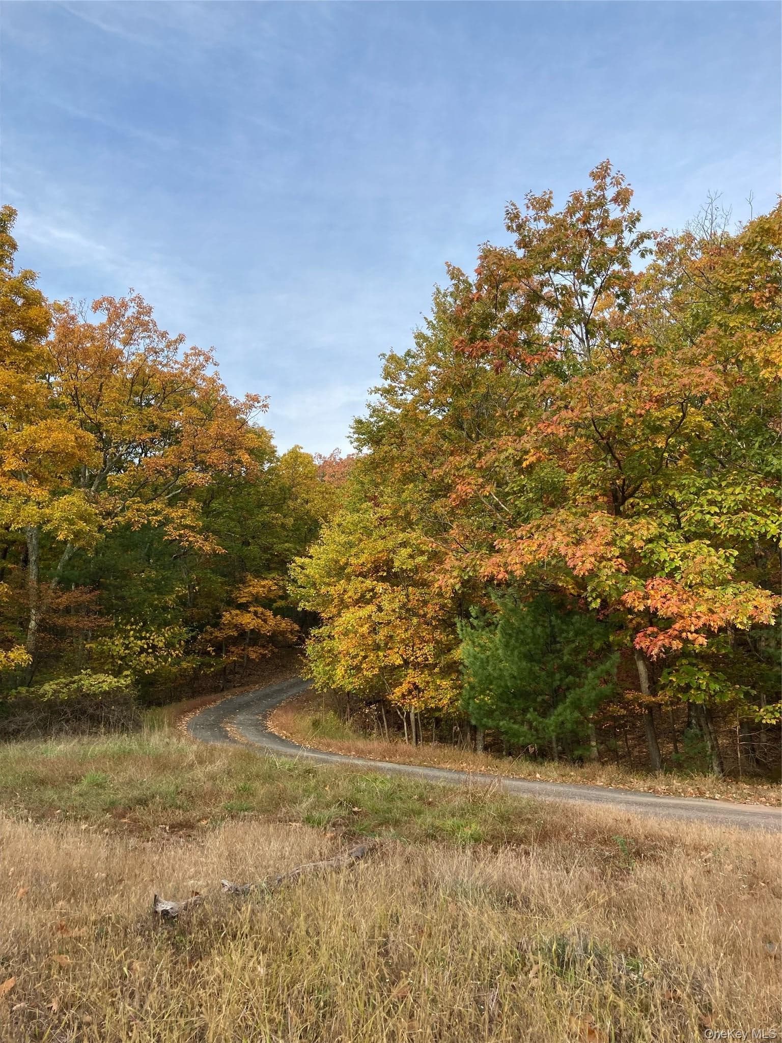 231 Manorville Road thumbnail 42
