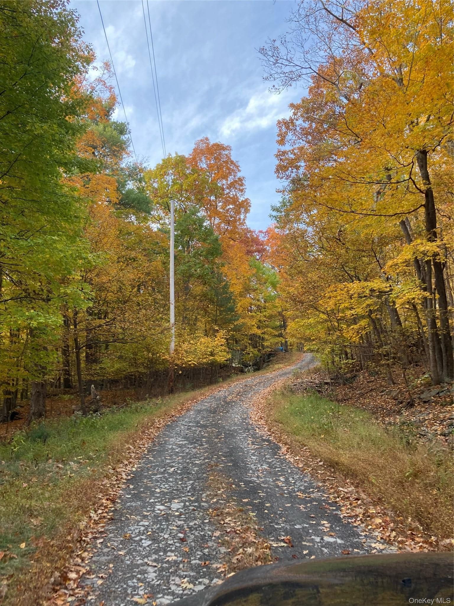 231 Manorville Road thumbnail 41