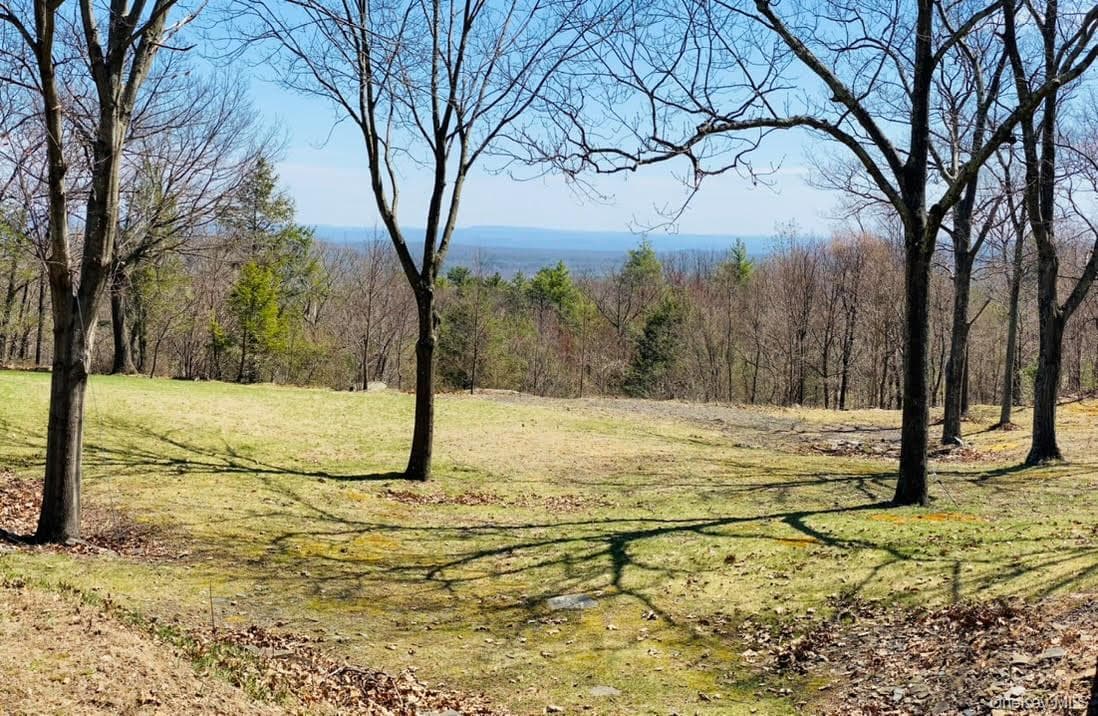 231 Manorville Road thumbnail 43