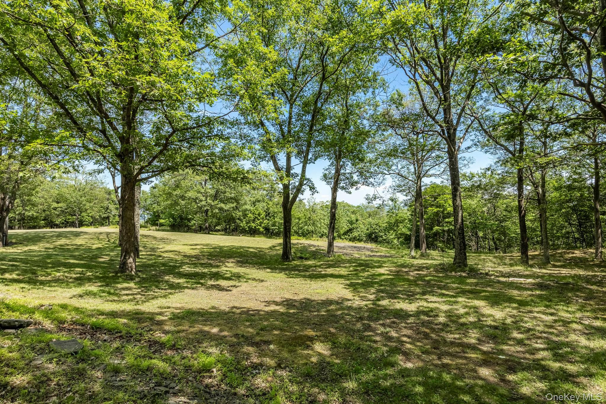 231 Manorville Road thumbnail 36