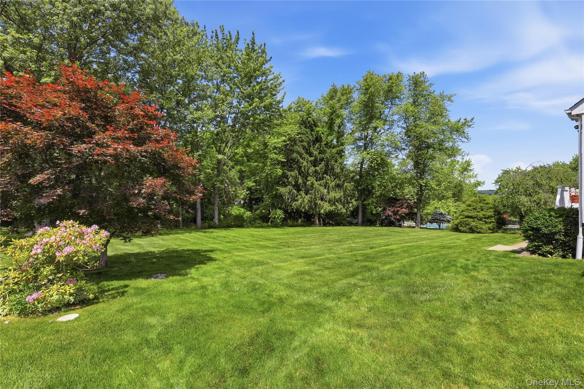 3093 Ferncrest Drive thumbnail 5